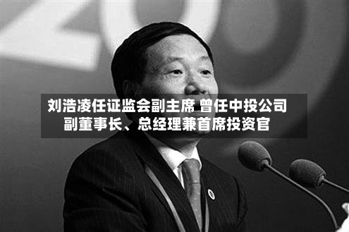 刘浩凌任证监会副主席 曾任中投公司副董事长、总经理兼首席投资官-第2张图片
