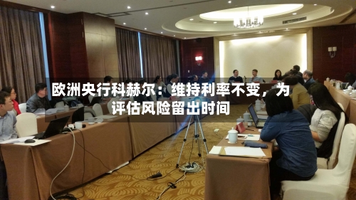 欧洲央行科赫尔：维持利率不变，为评估风险留出时间-第3张图片