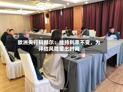 欧洲央行科赫尔：维持利率不变，为评估风险留出时间-第2张图片