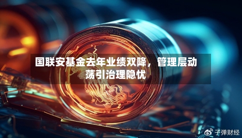 国联安基金去年业绩双降，管理层动荡引治理隐忧-第2张图片