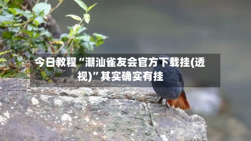 今日教程“潮汕雀友会官方下载挂(透视)”其实确实有挂