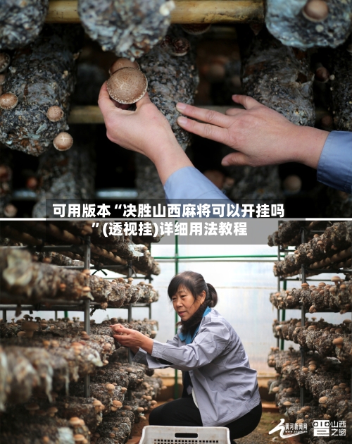 可用版本“决胜山西麻将可以开挂吗”(透视挂)详细用法教程