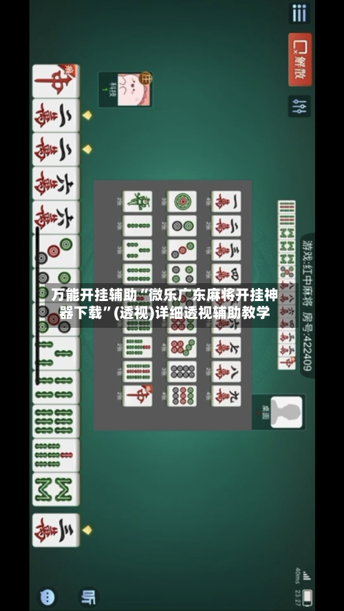万能开挂辅助“微乐广东麻将开挂神器下载”(透视)详细透视辅助教学