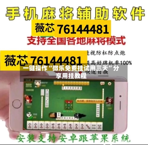 一键操作“微乐免费挂试用三天”分享用挂教程