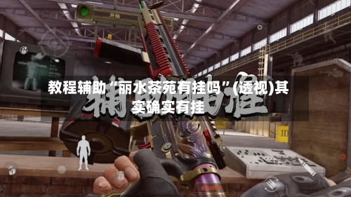 教程辅助“丽水茶苑有挂吗”(透视)其实确实有挂
