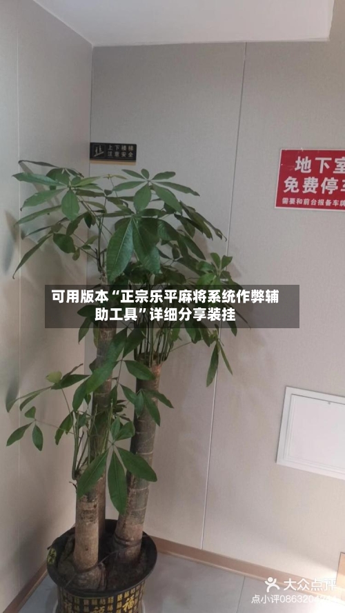 可用版本“正宗乐平麻将系统作弊辅助工具”详细分享装挂