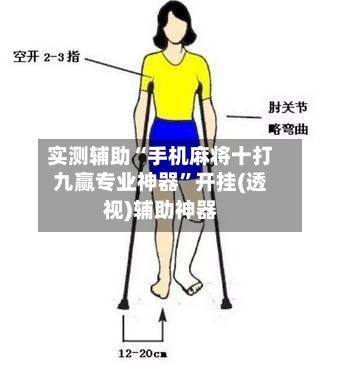 实测辅助“手机麻将十打九赢专业神器”开挂(透视)辅助神器