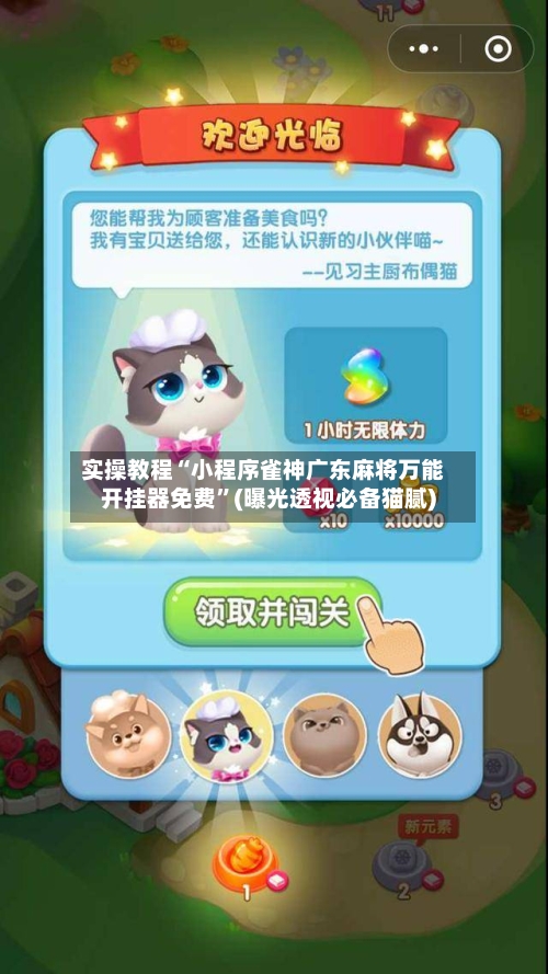 实操教程“小程序雀神广东麻将万能开挂器免费”(曝光透视必备猫腻)