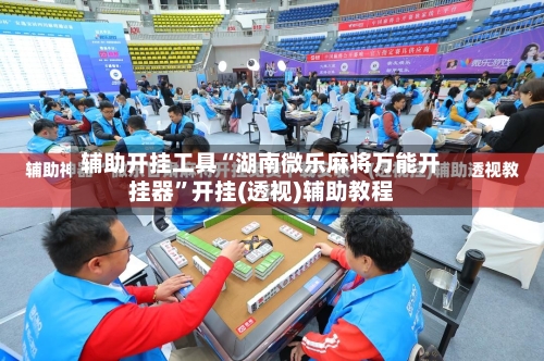 辅助开挂工具“湖南微乐麻将万能开挂器”开挂(透视)辅助教程