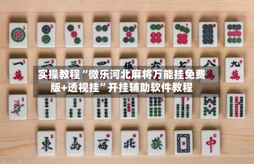 实操教程“微乐河北麻将万能挂免费版+透视挂”开挂辅助软件教程