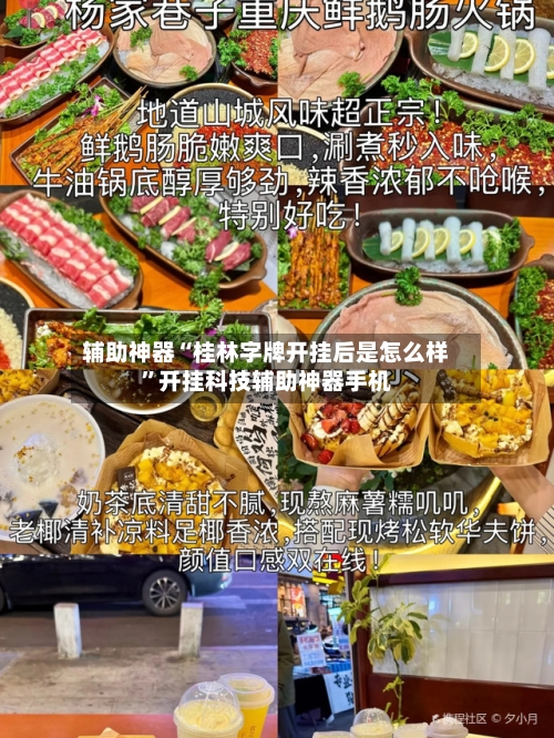 辅助神器“桂林字牌开挂后是怎么样”开挂科技辅助神器手机