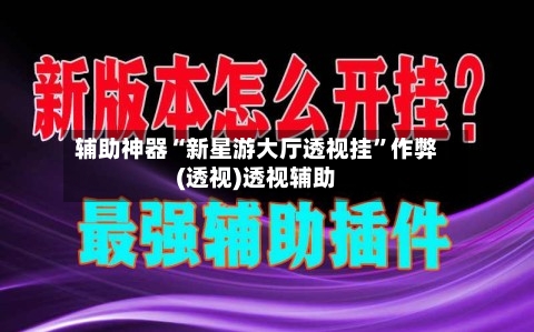 辅助神器“新星游大厅透视挂”作弊(透视)透视辅助