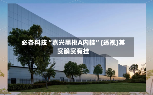 必备科技“嘉兴黑桃A内挂”(透视)其实确实有挂