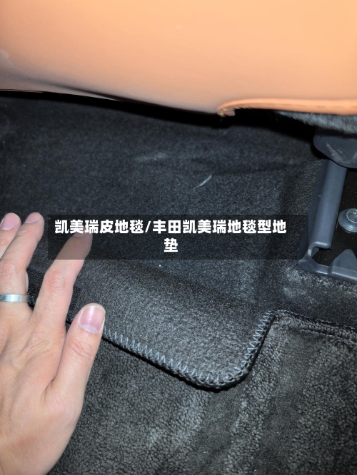 凯美瑞皮地毯/丰田凯美瑞地毯型地垫