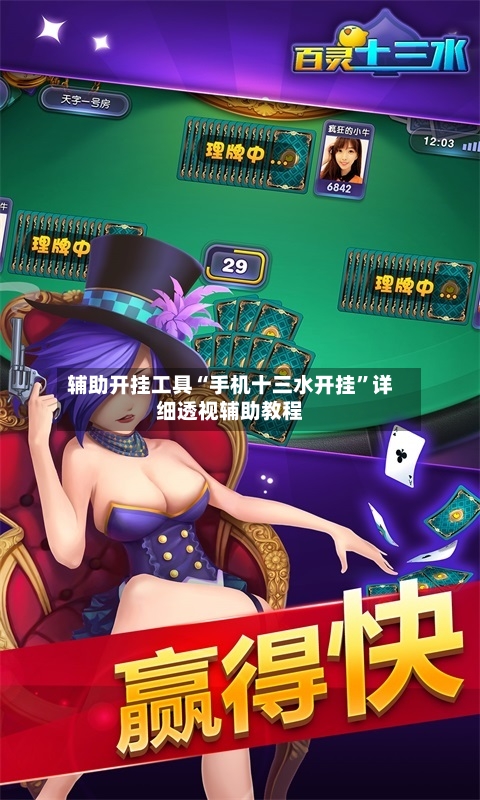 辅助开挂工具“手机十三水开挂”详细透视辅助教程