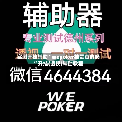 实测开挂辅助“wepoker挂是真的吗”开挂(透视)辅助教程
