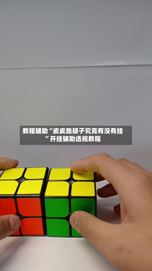 教程辅助“皮皮跑胡子究竟有没有挂”开挂辅助透视教程