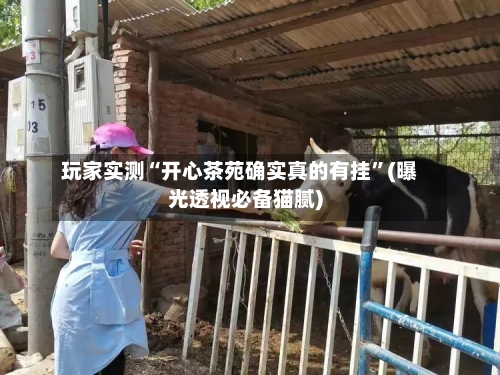 玩家实测“开心茶苑确实真的有挂”(曝光透视必备猫腻)