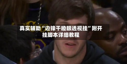 真实辅助“边锋干瞪眼透视挂”附开挂脚本详细教程