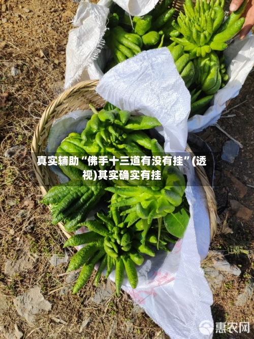 真实辅助“佛手十三道有没有挂”(透视)其实确实有挂