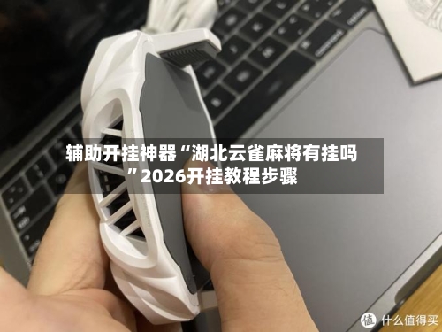 辅助开挂神器“湖北云雀麻将有挂吗”2026开挂教程步骤