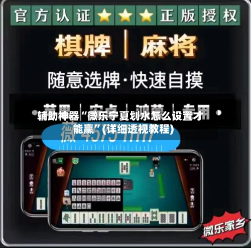 辅助神器“微乐宁夏划水怎么设置才能赢”(详细透视教程)