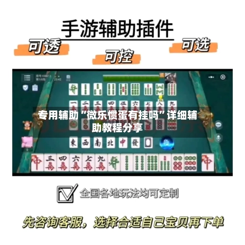 专用辅助“微乐惯蛋有挂吗”详细辅助教程分享