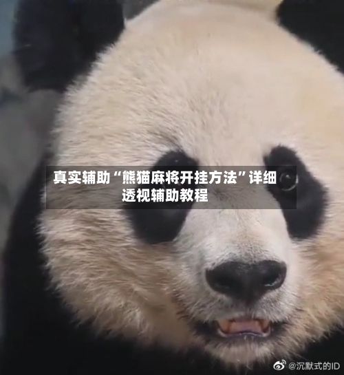 真实辅助“熊猫麻将开挂方法”详细透视辅助教程