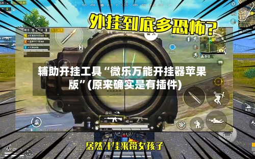 辅助开挂工具“微乐万能开挂器苹果版”(原来确实是有插件)