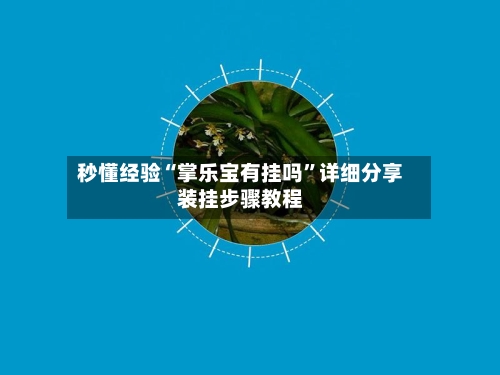 秒懂经验“掌乐宝有挂吗”详细分享装挂步骤教程