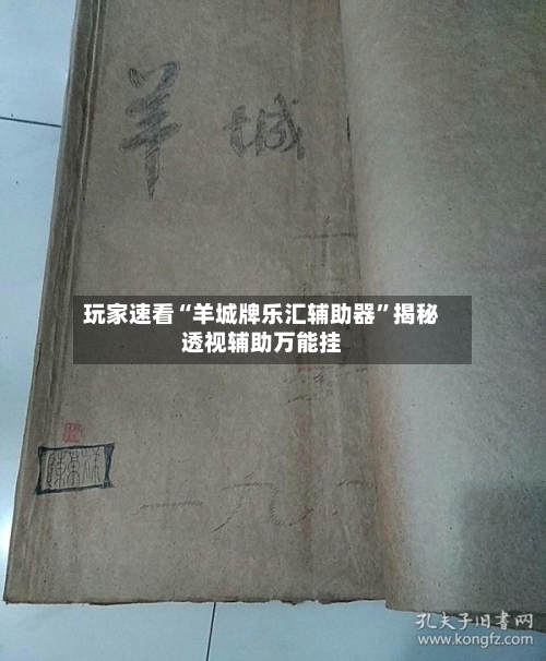 玩家速看“羊城牌乐汇辅助器”揭秘透视辅助万能挂