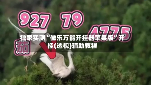独家实测“微乐万能开挂器苹果版”开挂(透视)辅助教程