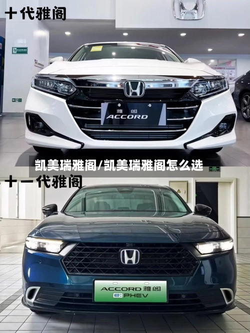 凯美瑞雅阁/凯美瑞雅阁怎么选
