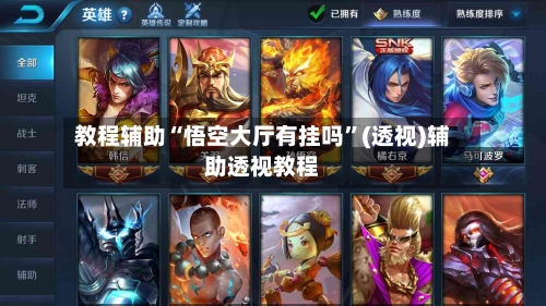 教程辅助“悟空大厅有挂吗”(透视)辅助透视教程