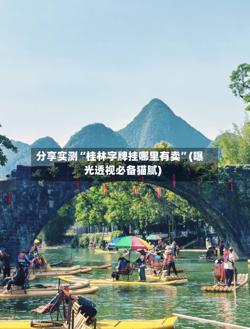分享实测“桂林字牌挂哪里有卖”(曝光透视必备猫腻)