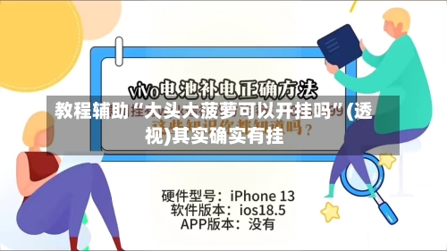 教程辅助“大头大菠萝可以开挂吗”(透视)其实确实有挂