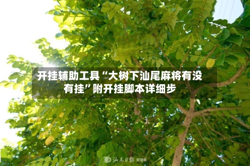 开挂辅助工具“大树下汕尾麻将有没有挂”附开挂脚本详细步