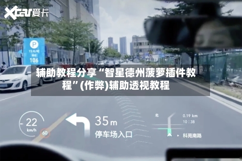 辅助教程分享“智星德州菠萝插件教程”(作弊)辅助透视教程