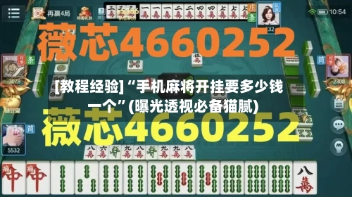 [教程经验]“手机麻将开挂要多少钱一个”(曝光透视必备猫腻)