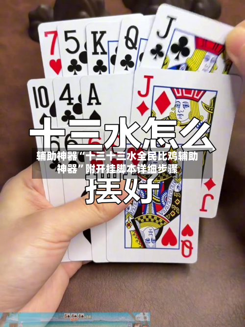 辅助神器“十三十三水全民比鸡辅助神器”附开挂脚本详细步骤