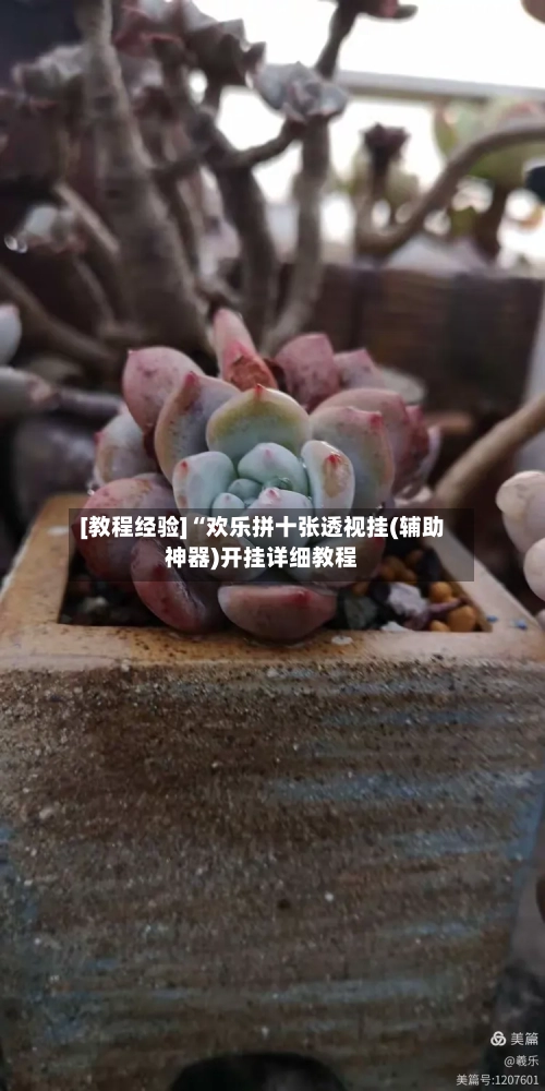 [教程经验]“欢乐拼十张透视挂(辅助神器)开挂详细教程