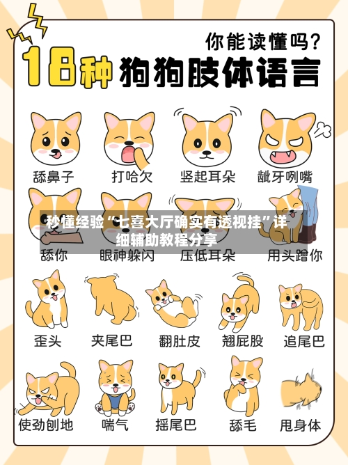秒懂经验“七喜大厅确实有透视挂”详细辅助教程分享