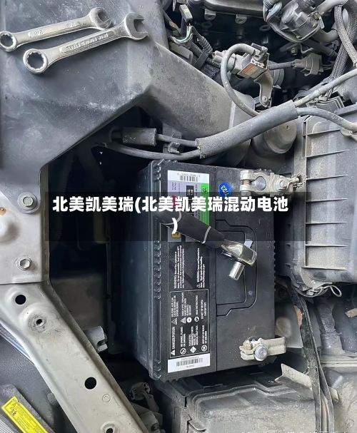 北美凯美瑞(北美凯美瑞混动电池)