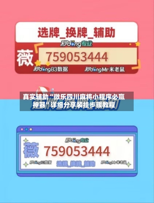 真实辅助“微乐四川麻将小程序必赢神器”详细分享装挂步骤教程