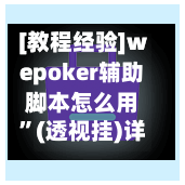 [教程经验]wepoker辅助脚本怎么用”(透视挂)详细用法教程