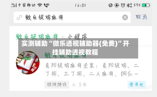 实测辅助“微乐透视辅助器(免费)”开挂辅助透视教程