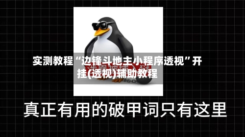 实测教程“边锋斗地主小程序透视”开挂(透视)辅助教程