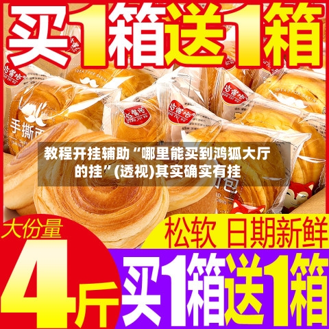 教程开挂辅助“哪里能买到鸿狐大厅的挂”(透视)其实确实有挂