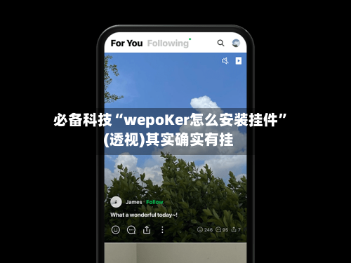必备科技“wepoKer怎么安装挂件”(透视)其实确实有挂