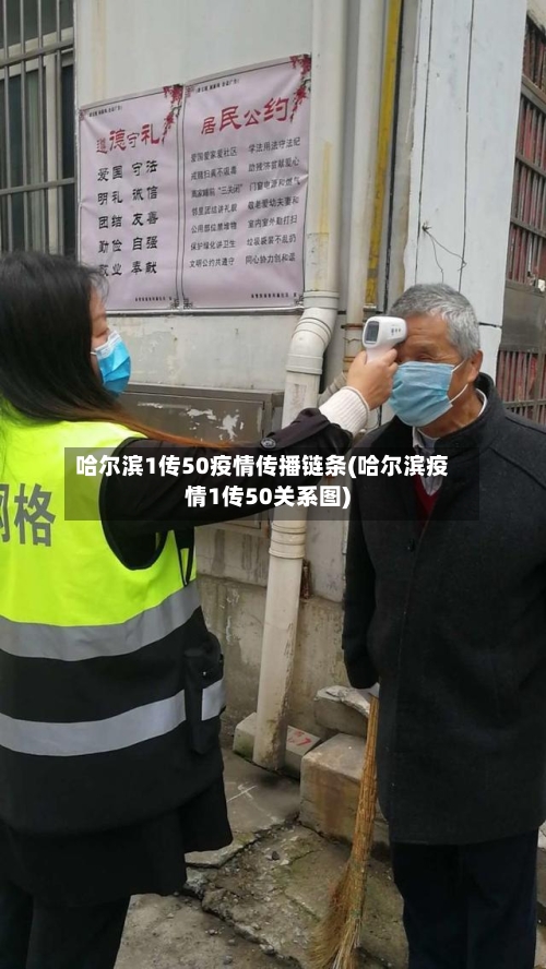 哈尔滨1传50疫情传播链条(哈尔滨疫情1传50关系图)